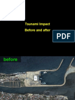 Tsunami Impact Before and After