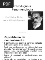 Introdução à Fenomenologia Prof. Felipe Pinho