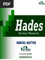 DNV Hades Apresentação - Completa.pdf