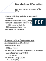 Adrenal Crisis Pathopshysio MGT