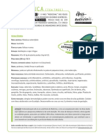 Ficha Teatree PDF