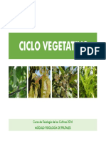 Ciclo Vegetativo: Curso de Fisiología de Los Cultivos 2016 Módulo Fisiología de Frutales