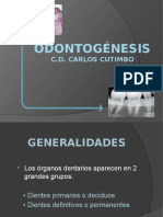 4 Embriologia Dentaria