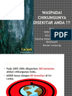 Penyuluhan Chikungunya