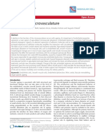 Ageing and Microvasculature