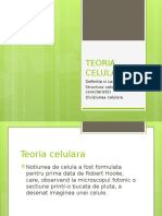 Teoria 