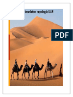 UAE_Final_Report.pdf