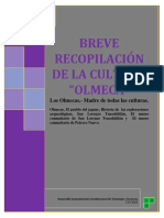 Breve Recopilación de La Cultura Olmeca