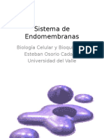 B 117 Sistema de Endomembranas