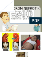 Kelompok 2 PPT Sindrom Nefrotik