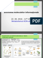 Curs 2 Metabolismul ADN-ului