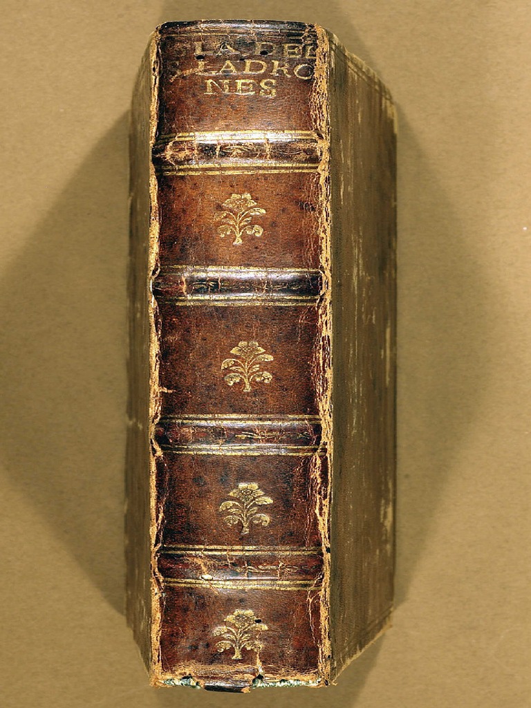 (1590) The Boxer Codex