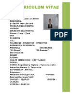 Curriculum Vitae