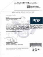 Certificado de Estratificación PDF