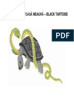 Broasca Țestoasă Neagră – Black Tartoise