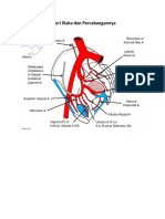 Arteri Iliaka Dan Percabangannya PDF