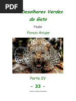 Cap. 33 - OS DESOLHARES VERDES DO GATO, por Pôncio Arrupe