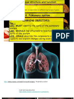 Lesson18 Pulmonary System