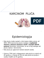 Karcinom Pluća