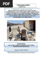 Estudio de Pre Inversion A Nivel de Perfil