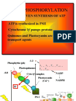 LECT 16 Photophos