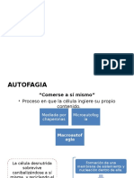 autofagia