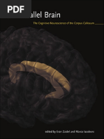 Advances in Cognitive Neurodynamics (VI) | PDF | Neural