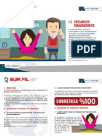 1.3 PF DS Descansos Remunerados PDF
