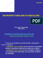 Curs 3 Nefropatii Tubulare Si Vasculare