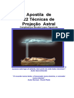 22_tecnicas_de_projeo_astral_beraldo_lopes_figueiredo.pdf