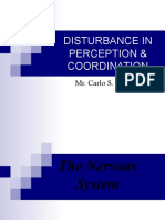 Disturbance in Perception & Coordination: Mr. Carlo S. Hidalgo