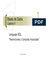 Capitulo5 Restricciones PDF