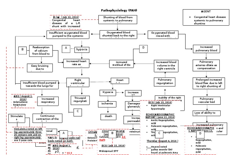 PAH Patho | PDF | Travel | Science & Mathematics