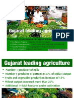 Green Gujarat Leading Agriculture