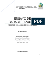 Ensayo Absorcion