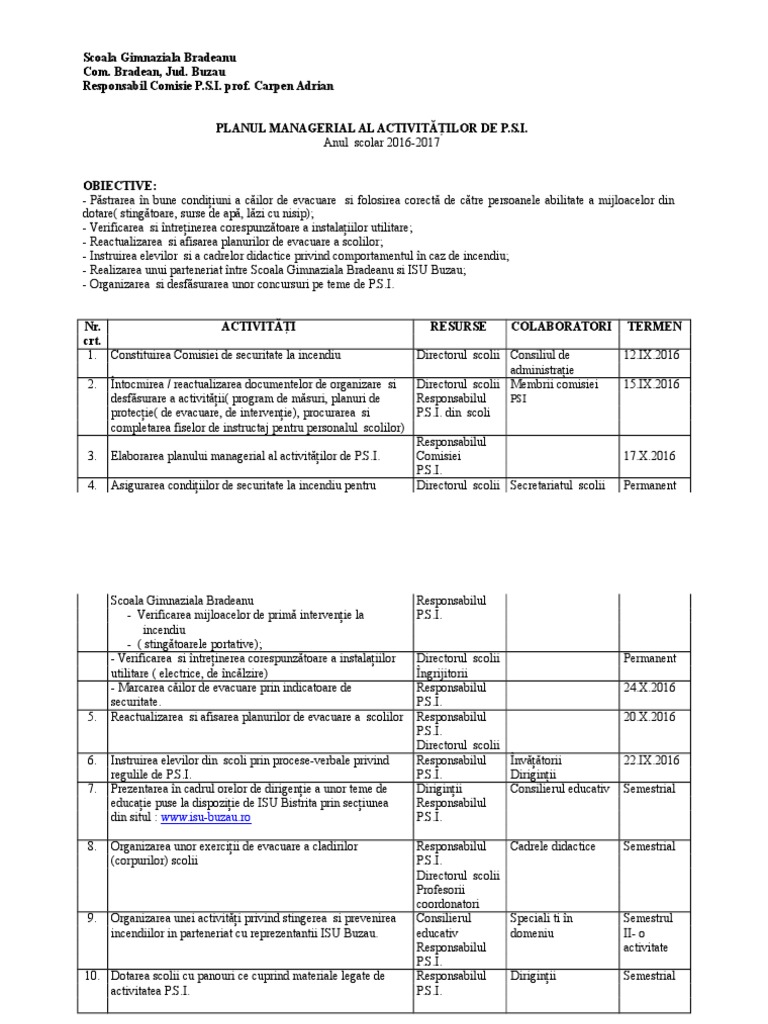 Plan Managerial Psi | PDF