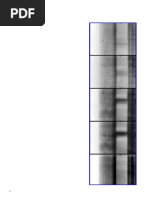 Elcott 2008 Darkened Rooms. A Genealogy of Avant-Garde Filmstrips From Man Ray To The London Film-Makers' Co-Op and Back Again