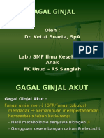 Gagal Ginjal