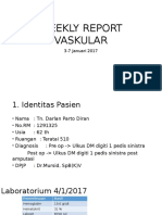 Weekly Report Vaskular