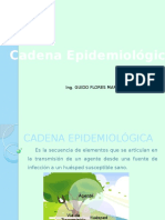 Cadena Epidemiológica 4