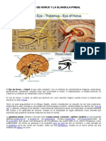 El Ojo de Horus y La Glandula Pineal