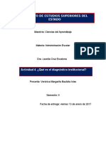 Actividad 4.qué Es El Diagnóstico Institucional. Verónica M. Bautista Islas