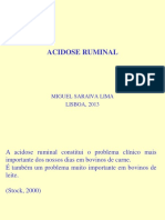 Acidose Ruminal - Saraiva Lima