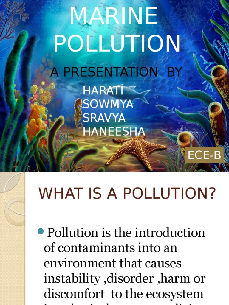 Causes of Marine Pollution Explained | PDF | Home & Garden | Science ...