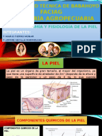 Anatomia y Fisiologia de La Piel-expo 2 Parcial Anatomia-fierro-Vecilla