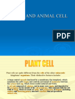 Animal and Plants cell