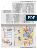 Fisiopatologia Del Edema Agudo de Pulmon - Del Libro... Fisiopatologia - Texto y Atlas - Silbernagl, Lang - 3a Edicion (2009)