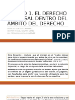 Derecho Procesal Tema 1