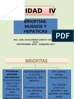 U 4 - Briofitas Clases