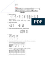 Ejercicios Propuestos Matrices Determinantes y Aplicaciones